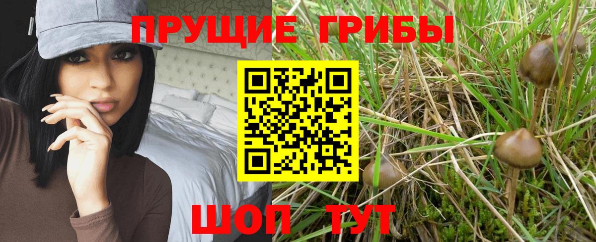 Псилоцибиновые грибы MAGIC MUSHROOMS Реутов