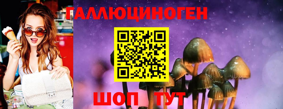 где продают наркотики  Галлюциногенные грибы GOLDEN TEACHER  Вход с VPN  Реутов 